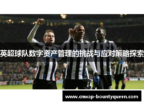 英超球队数字资产管理的挑战与应对策略探索