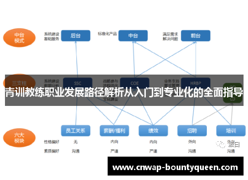 青训教练职业发展路径解析从入门到专业化的全面指导