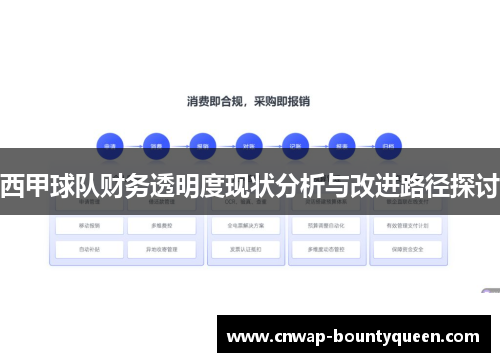 西甲球队财务透明度现状分析与改进路径探讨