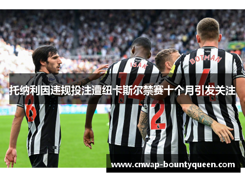 托纳利因违规投注遭纽卡斯尔禁赛十个月引发关注