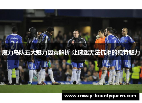 魔力鸟队五大魅力因素解析 让球迷无法抗拒的独特魅力