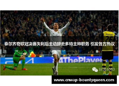 泰尔齐奇欧冠决赛失利后主动辞去多特主帅职务 引发各方热议