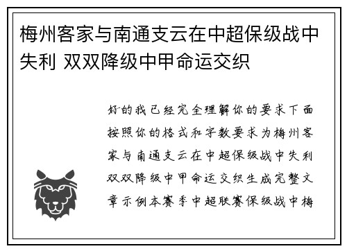 梅州客家与南通支云在中超保级战中失利 双双降级中甲命运交织
